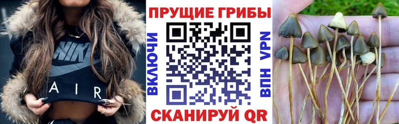 где продают наркотики  Комсомольск-на-Амуре  Псилоцибиновые грибы Magic Shrooms 
