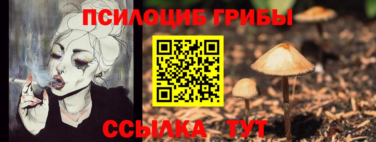 Комсомольск-на-Амуре  даркнет сайт  Вход с VPN  Галлюциногенные грибы MAGIC MUSHROOMS 