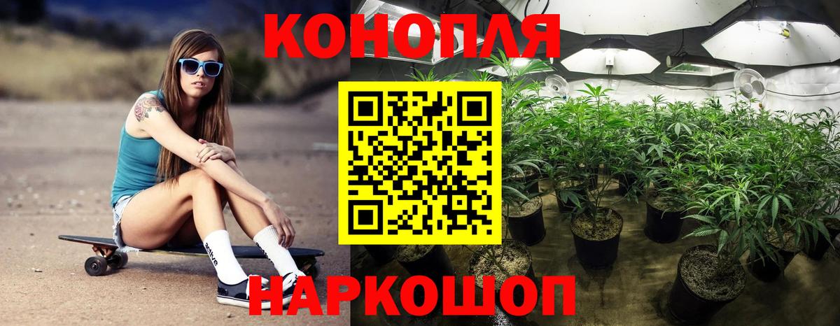 Комсомольск-на-Амуре  Каннабис сатива  Вход с VPN  Конопля тримм 